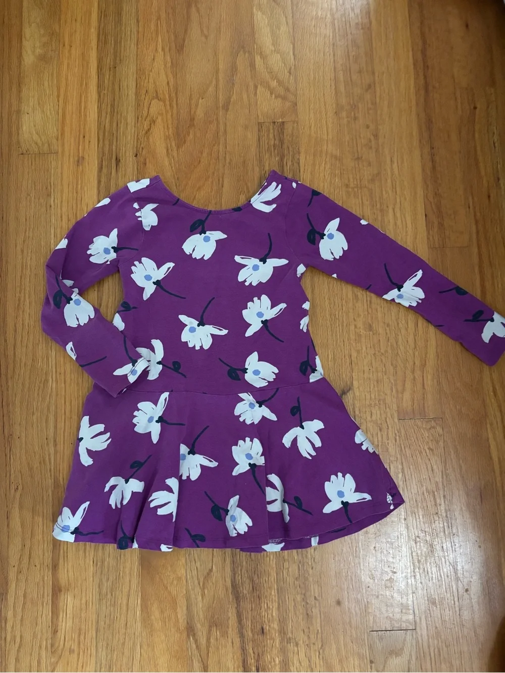 Tea Girls Size 4 Purple Floral Long-Sleeve Twirl Dress